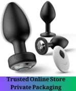 Remote Control Anal Plug Vibrator Training Kit